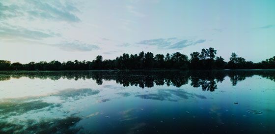 AQUACULTURE LAND