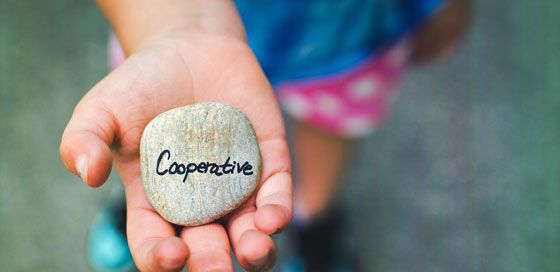 PLATFORM COOPERATIVES