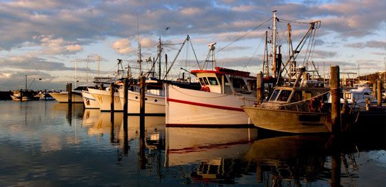 HARBOR MARINAS