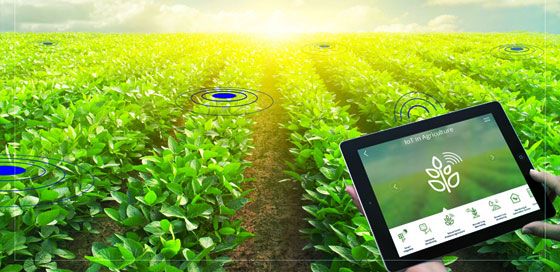 SMART AGRICULTURE