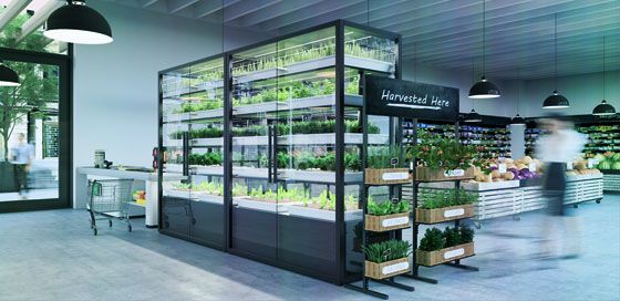 INDOOR FARMING