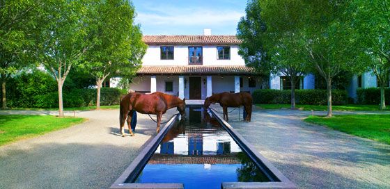 EQUESTRIAN ESTATE